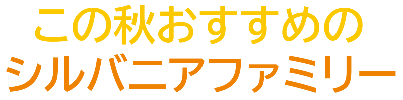最高の瞬間に心に、残そうこの夏だけのイベント盛りだくさん