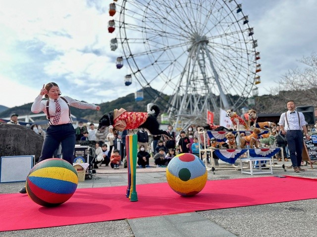 わんわん大サーカスの紹介写真