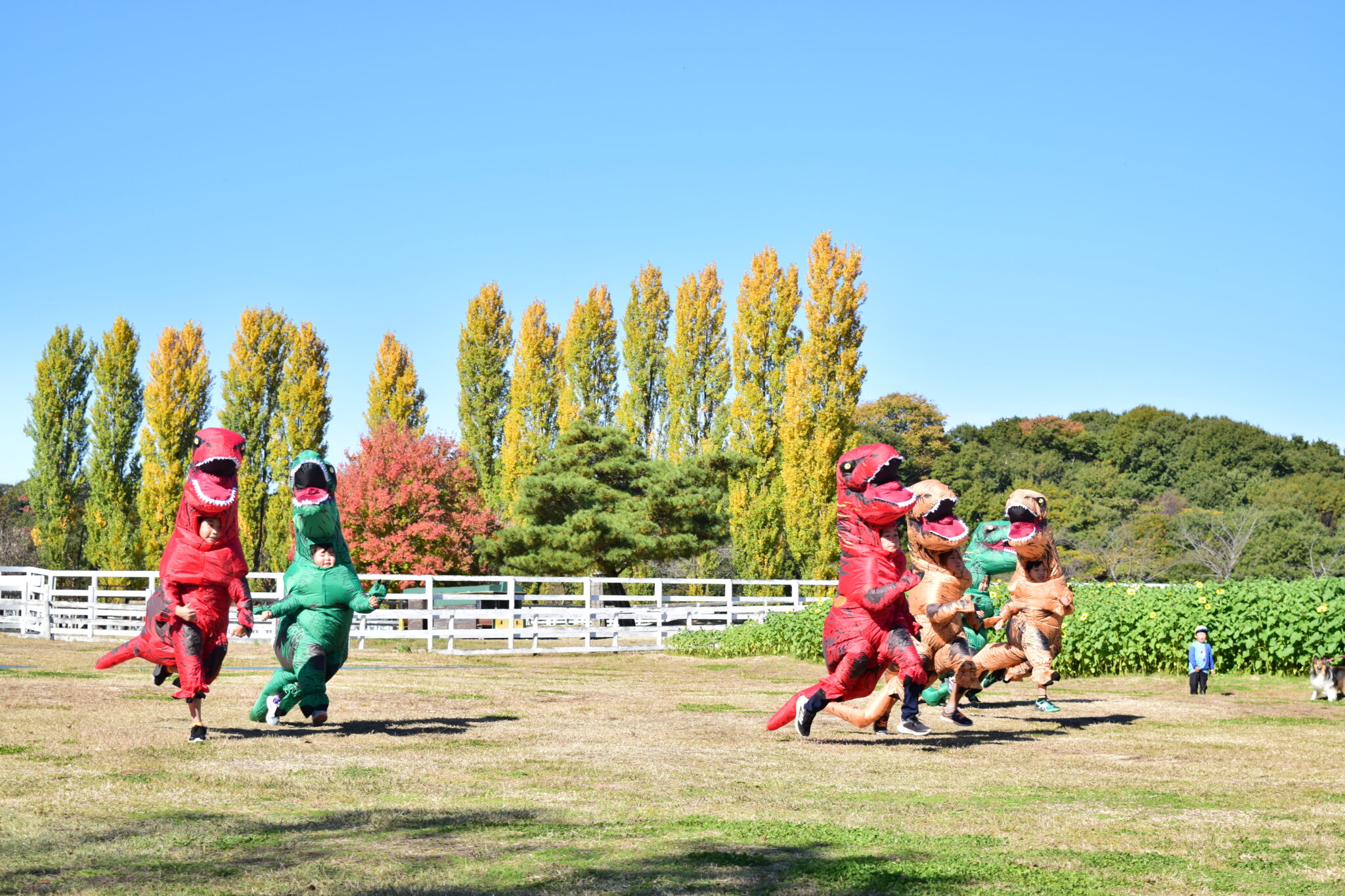 恐竜レースの開催風景