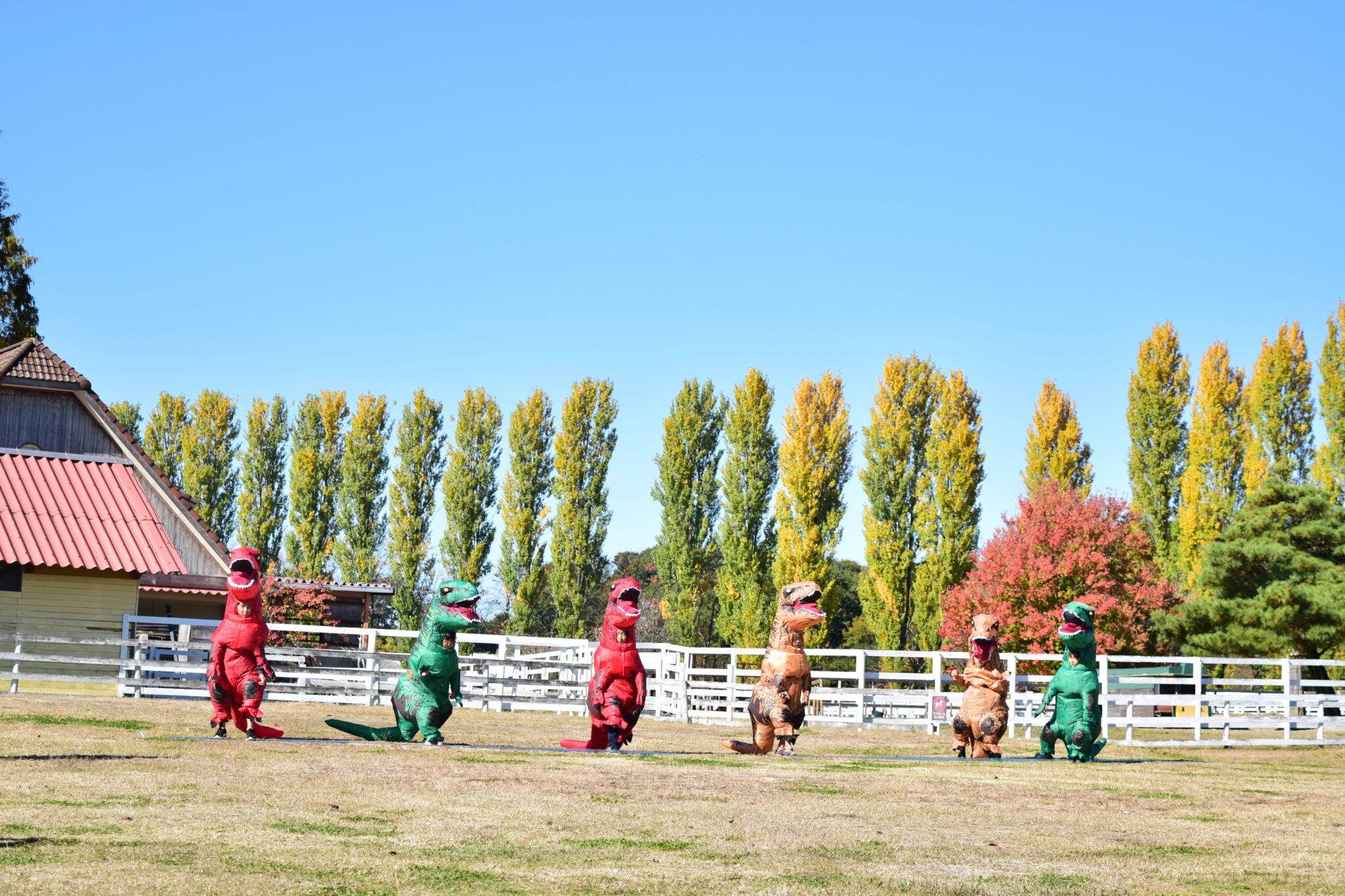 ジュラ肉恐竜祭 過去の開催風景5