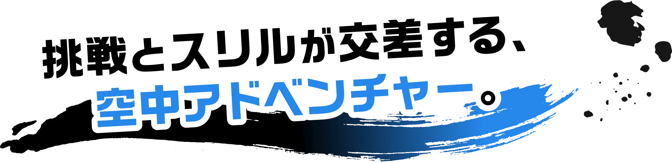 挑戦とスリルが交差する、空中アドベンチャー。