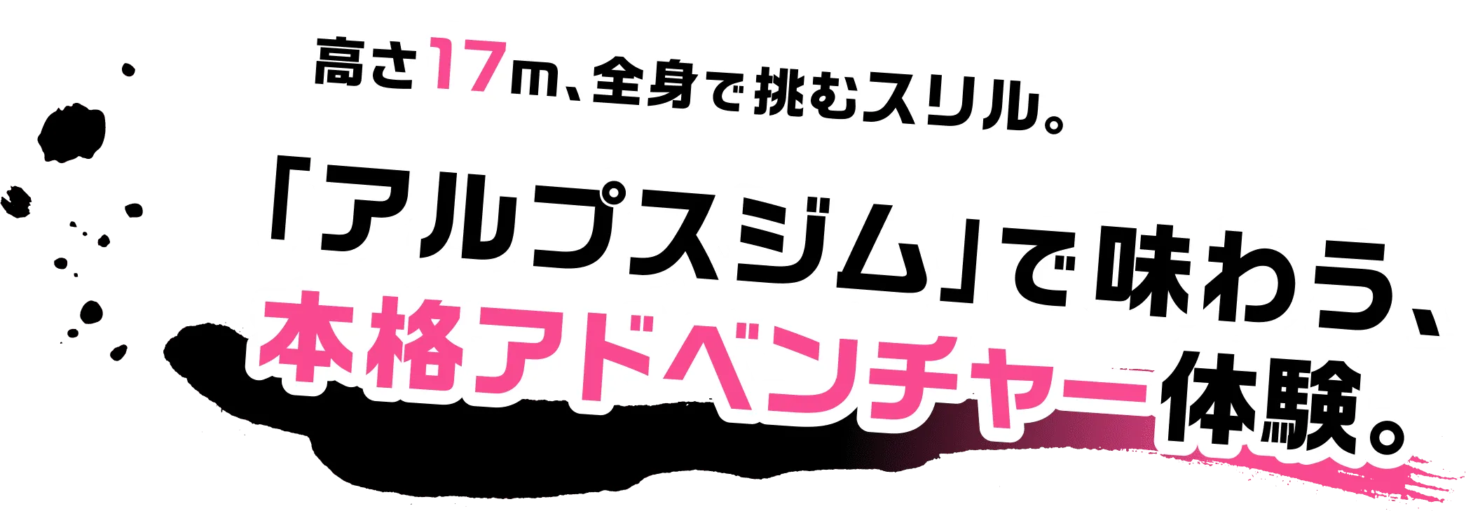 高さ17m、全身で挑むスリル。「アルプスジム」で味わう、本格アドベンチャー体験。