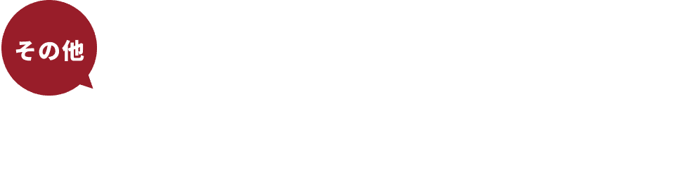その他こびとづかんグッズが盛りだくさん
