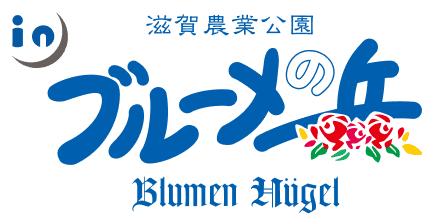 inブルーメの丘