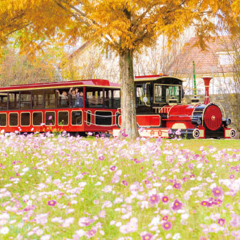 滋賀農業公園ブルーメの丘 遊具・体験